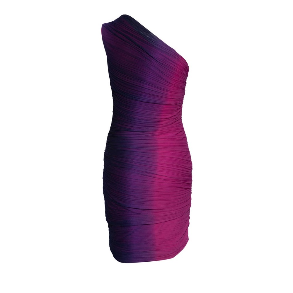 NWT never worn Halston Heritage ombre rouched dress.